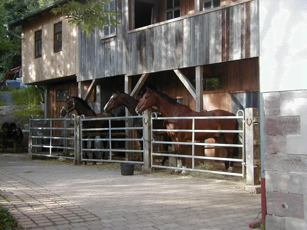 Ferienwohnung in den Dorfwiesen