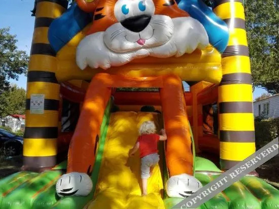 Camping Le Patisseau