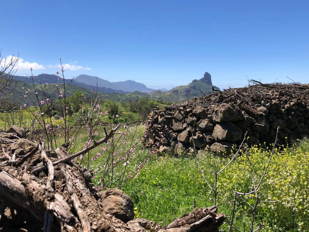 Tejeda Parque Rural el Nublo