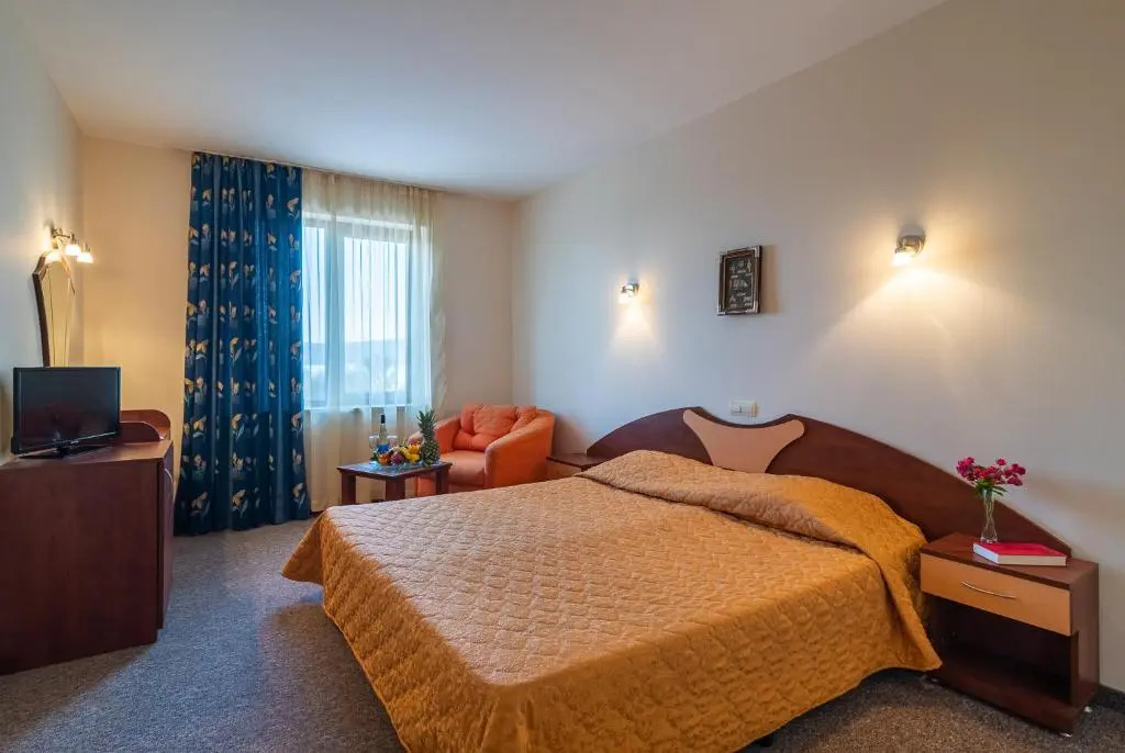Standard Double room (full double bed)