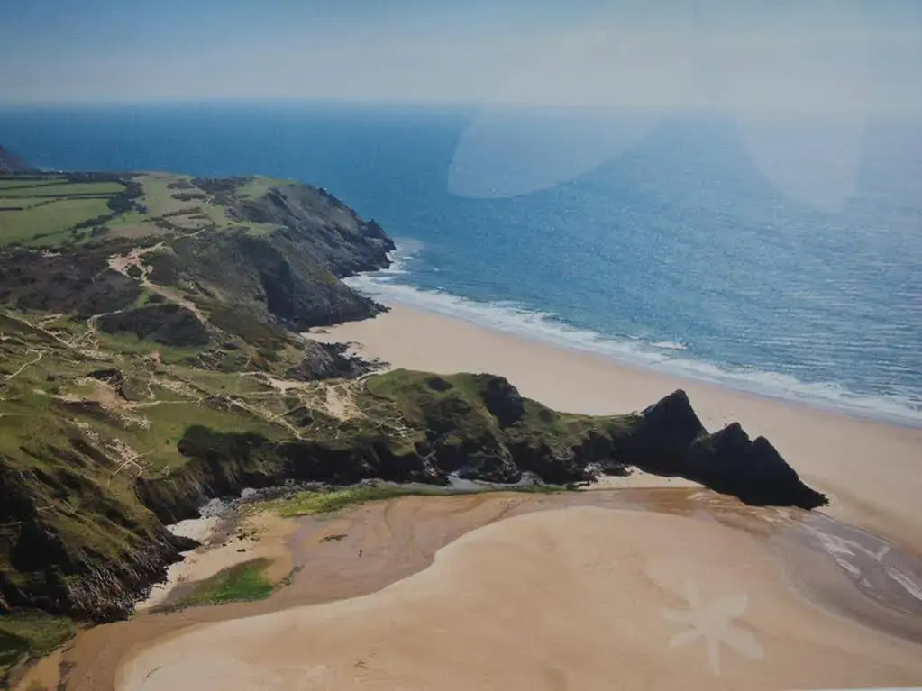 The Coast House - Général