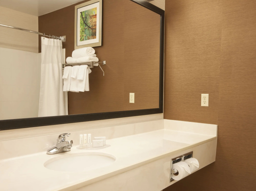Fairfield Inn & Suites Houston The Woodlands - Général