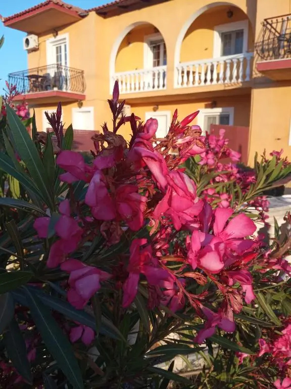 Residence Ionian st&apts