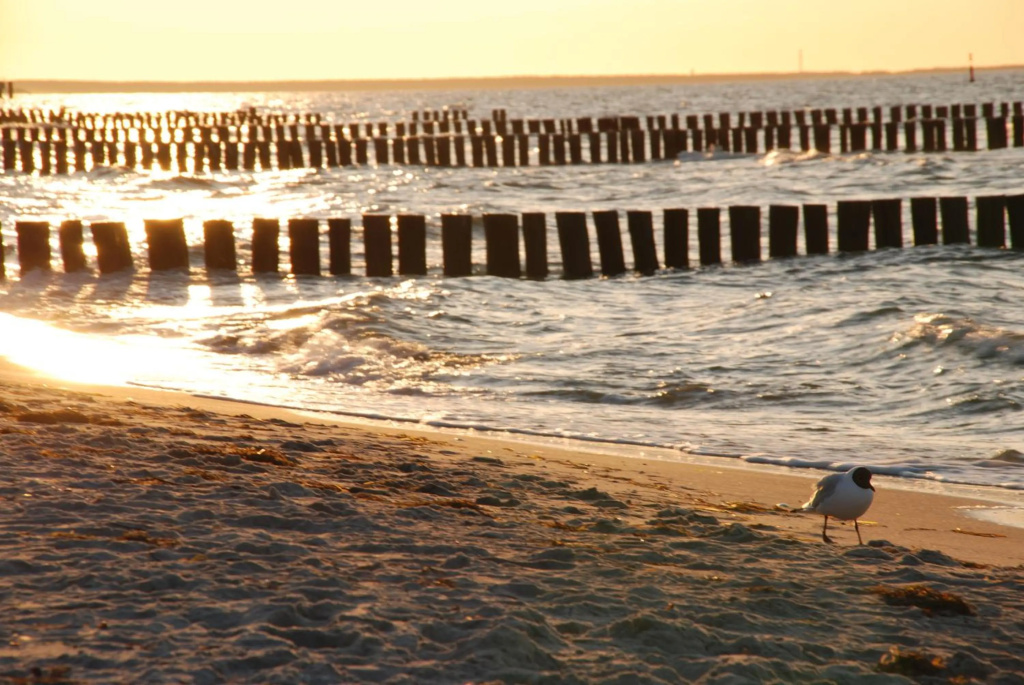 Zingst — 4