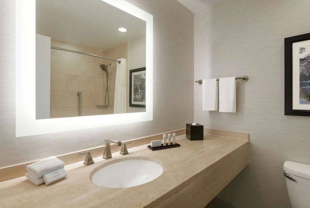 Embassy Suites by Hilton Philadelphia Valley Forge - Chambres