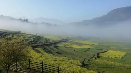 The Little House in the Rice Fields