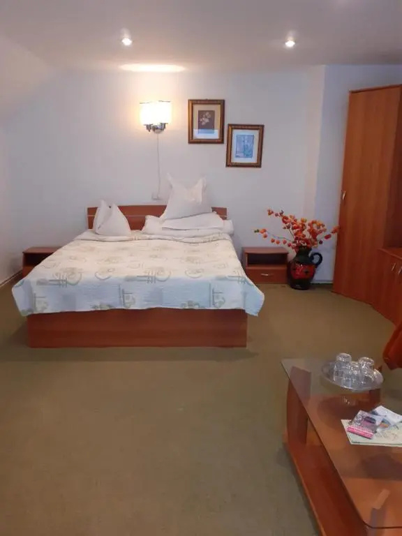 Vila Floare de Colt - Chambres