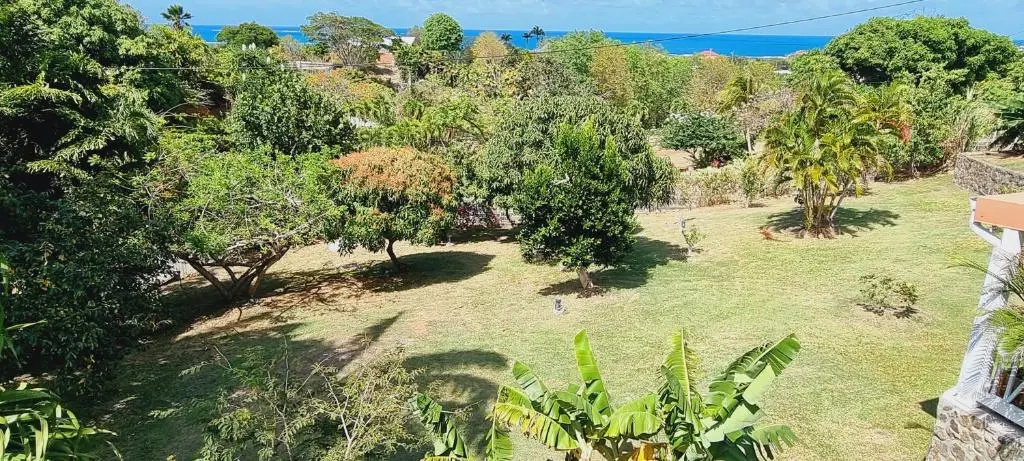 Les Hauts Du Cap