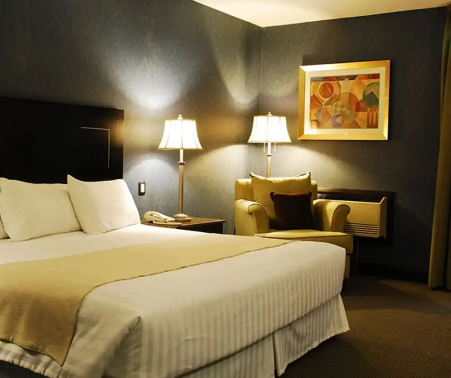 Royal Garden Reynosa - Chambres