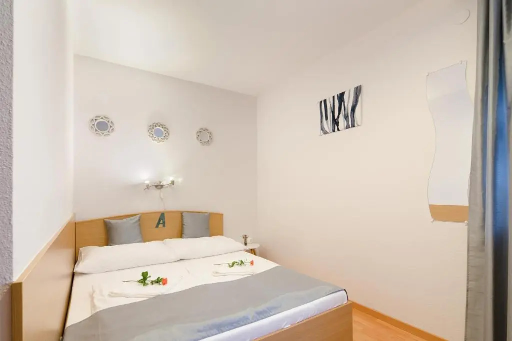 Standard Double room (full double bed)