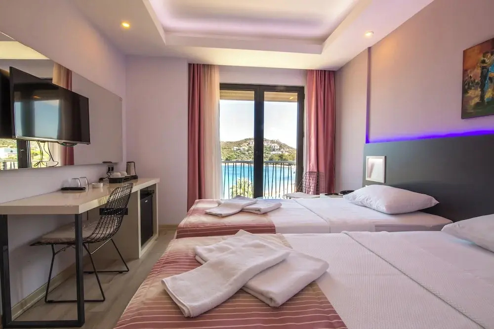 Standard Double room with balcony and with sea view (twin beds)
