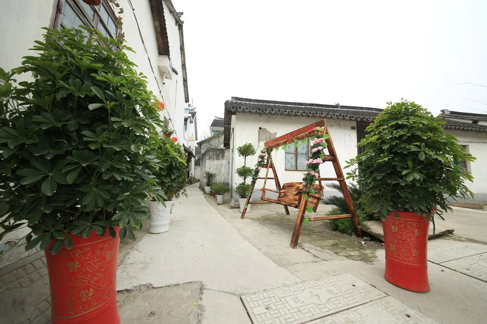 image url