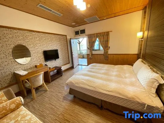 Standard Double room with mountain view (full double bed)