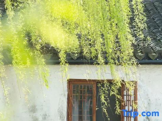 Yueshang Zen Space Homestay (Jinxi Ancient Town)
