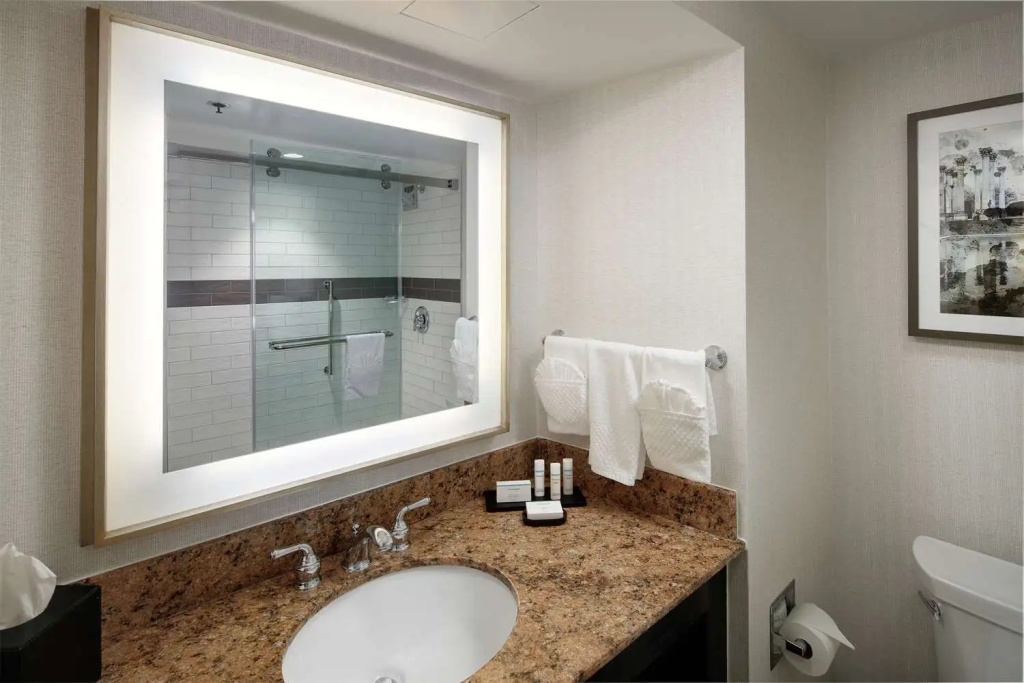 Embassy Suites by Hilton Tysons Corner - Chambres