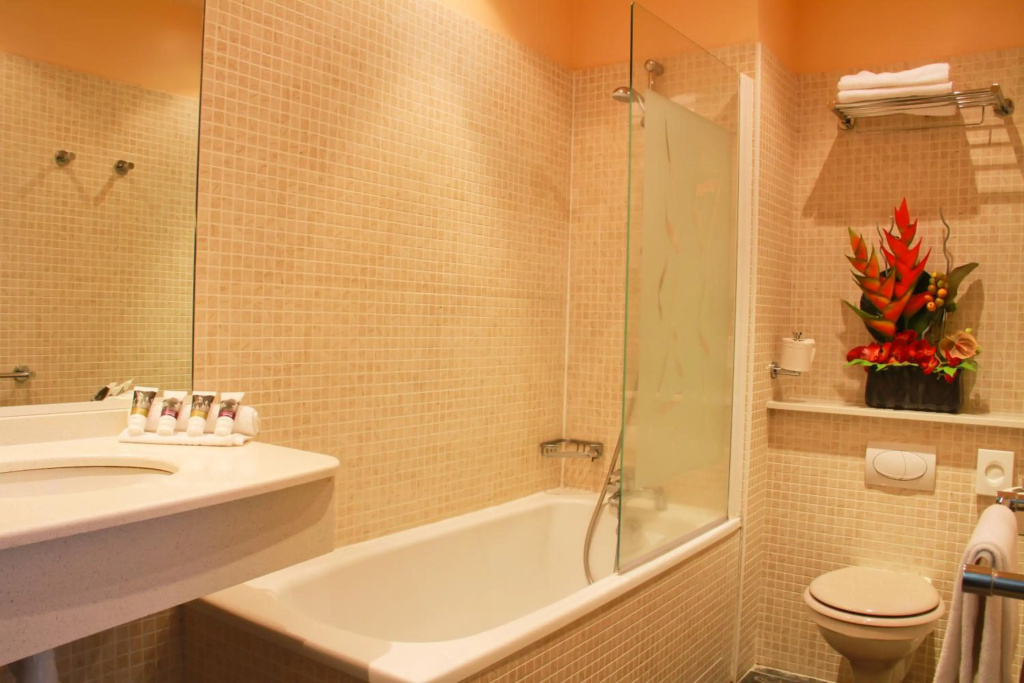 Mercure Saint Nectaire Spa & Bien-être Hotel - Général
