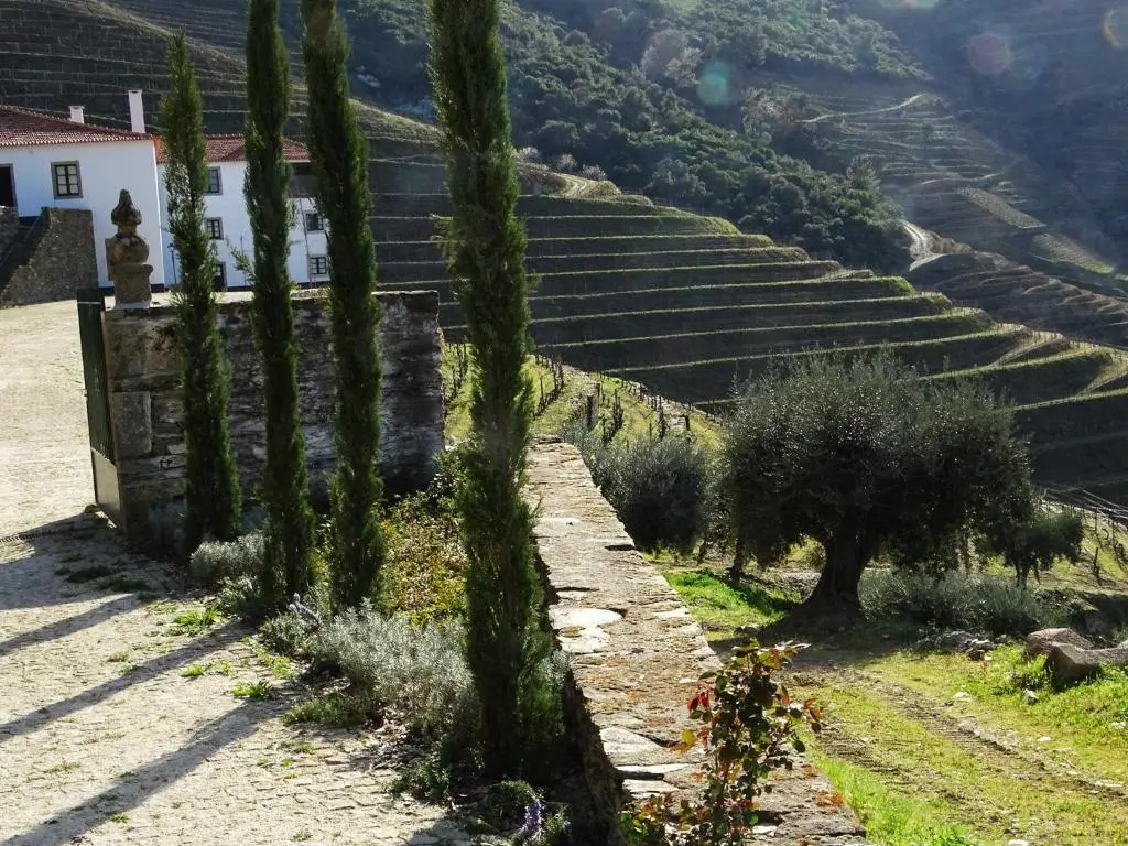 Quinta da Gricha