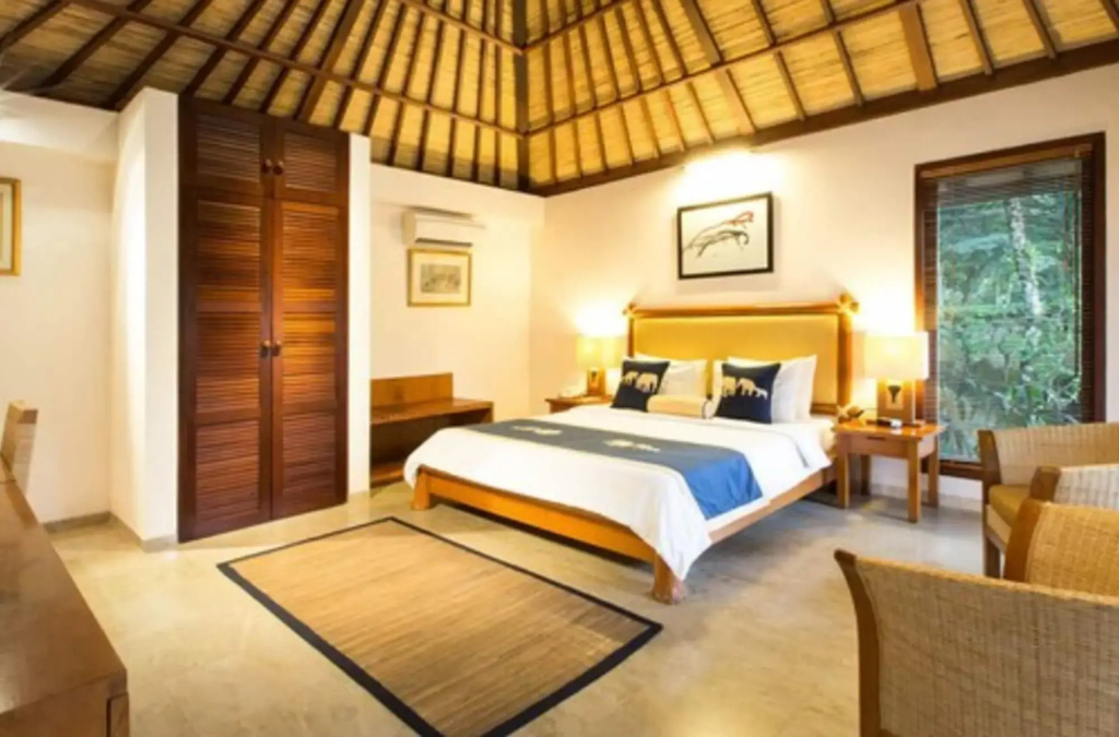 Mason Elephant Lodge - Général