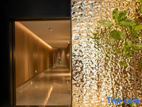 Spa & Wellness