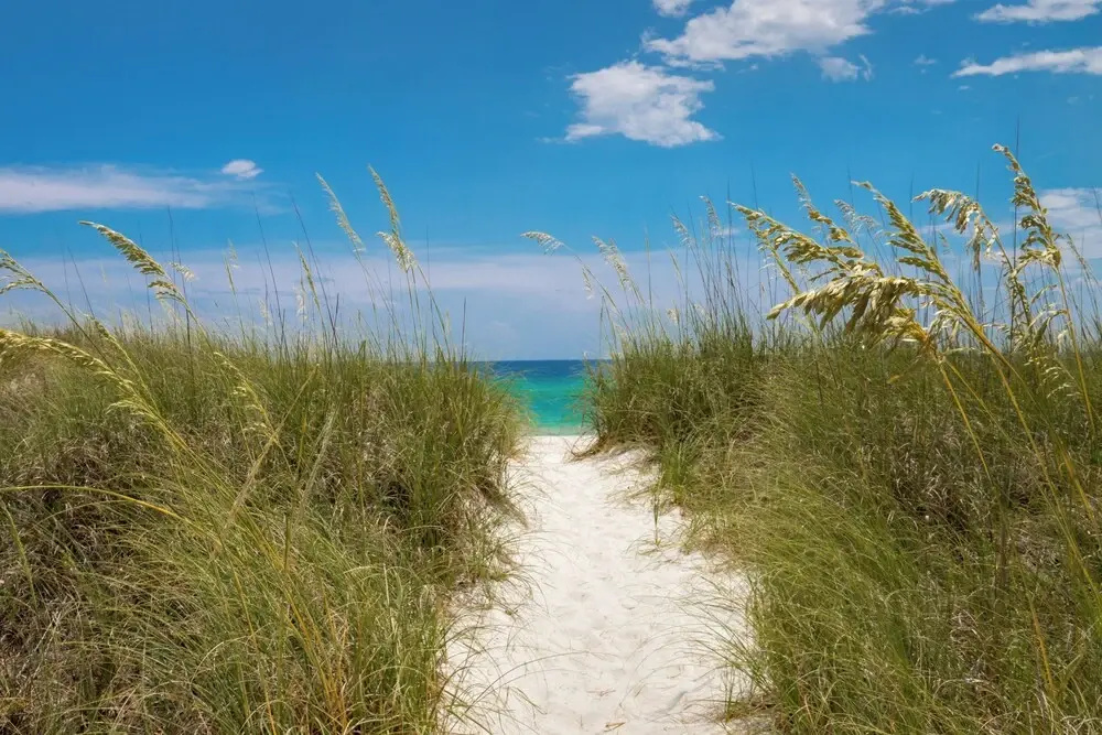 Coastal Hideaway: Cozy Beachfront Studio Sleeps 4 With Stunning Views!