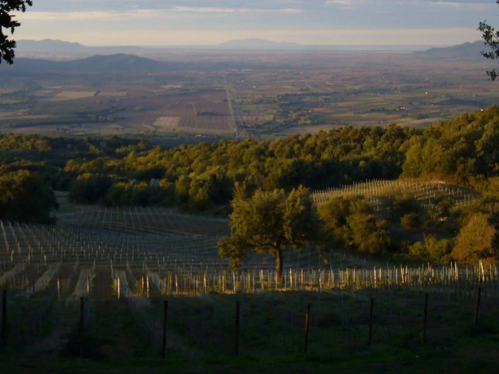 Valdonica Winery & Vineyard Residence