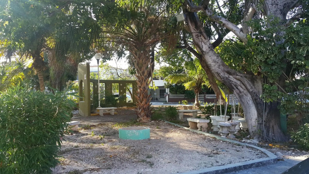 Image 15
