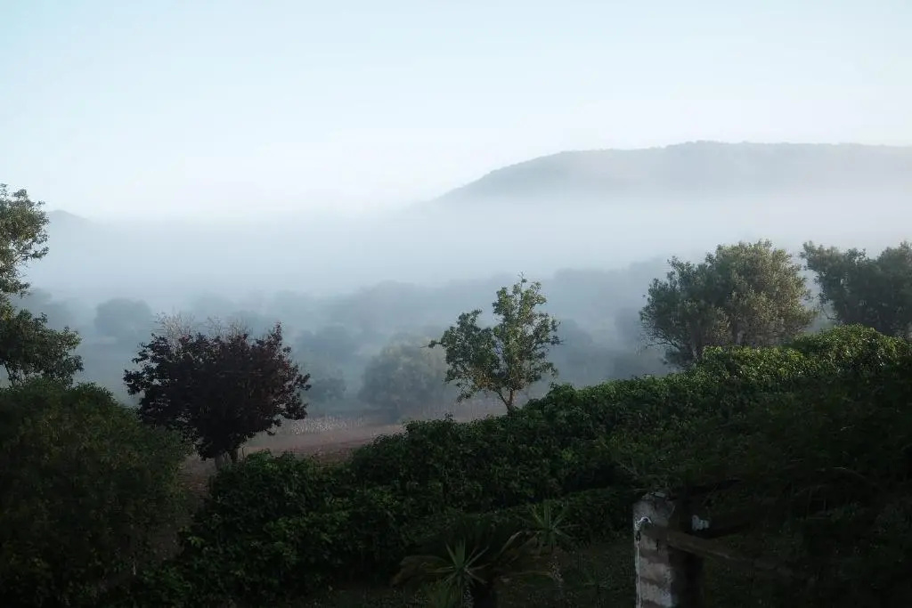 Finca Ses Cases Noves