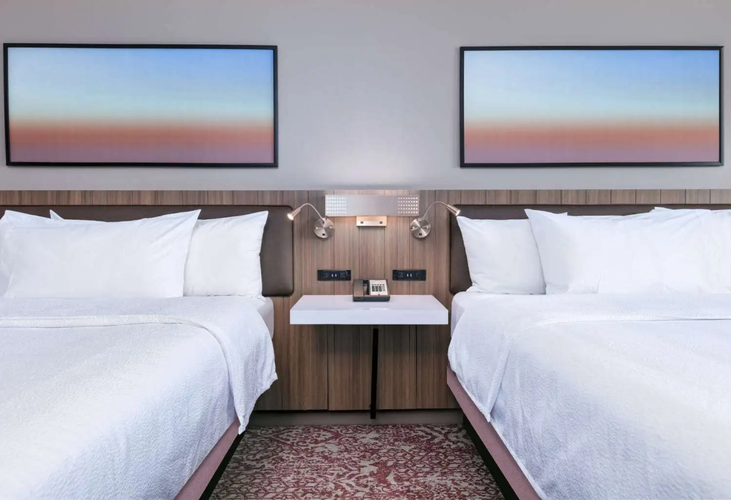Hilton Garden Inn Dallas/Arlington - Chambres