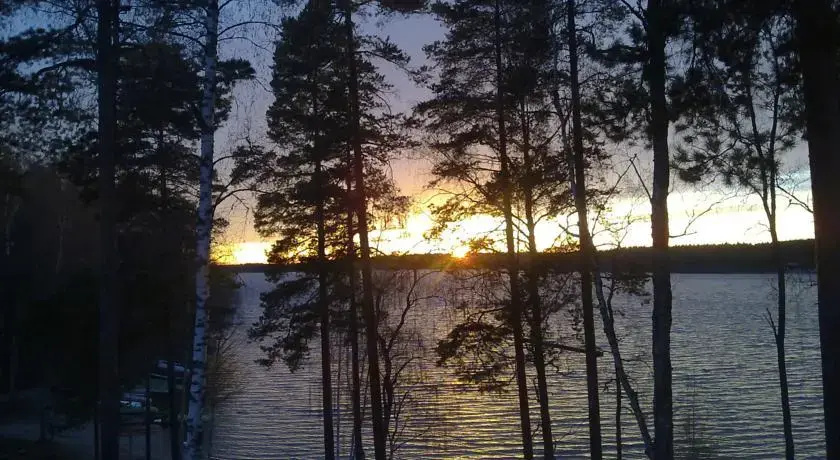 image url