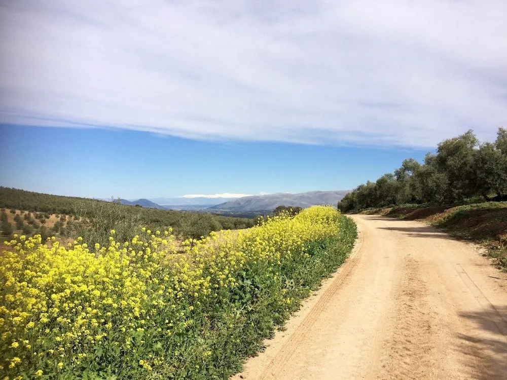 Valle de Oro - Général
