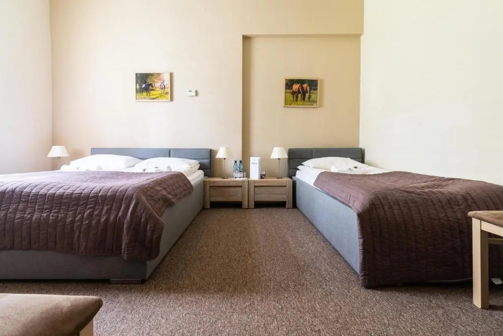Dworzysko Hotel & Restaurant - Chambres
