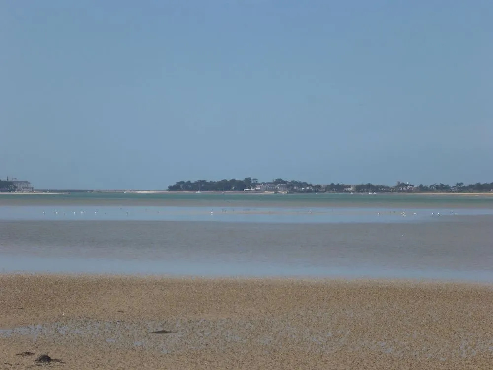Hôtel des Marais Salants - Général