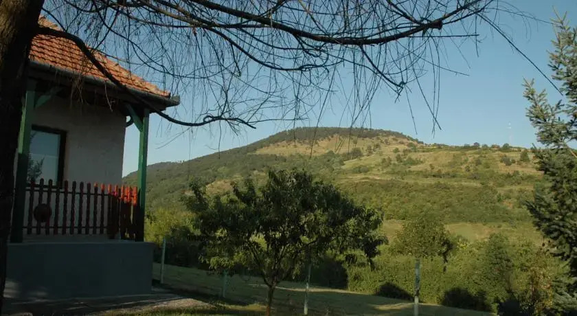 Guesthouse to the Jolly Zwingli - фото 5