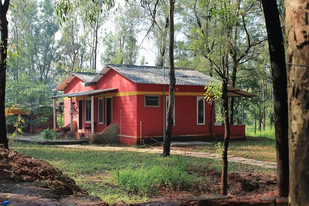 The Jungle Resort Amba