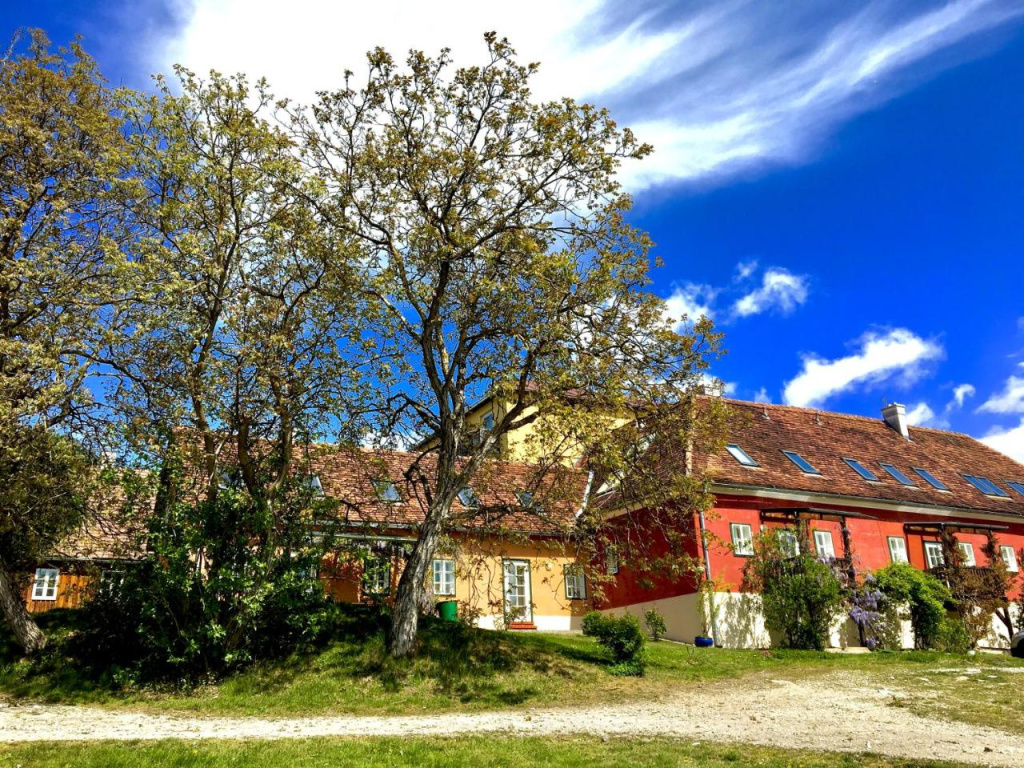 Apfelwirt