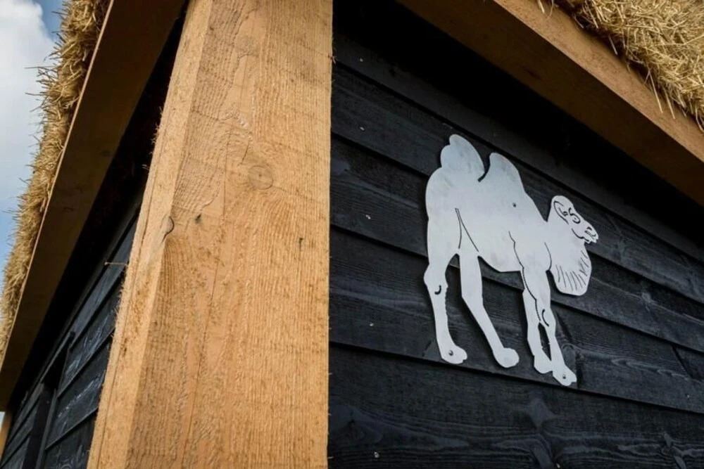 Camping Nieuw Romalo