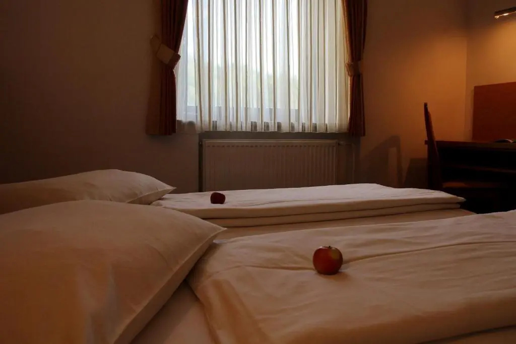 Pension Zaplata - Chambres