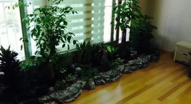 Jin's House
