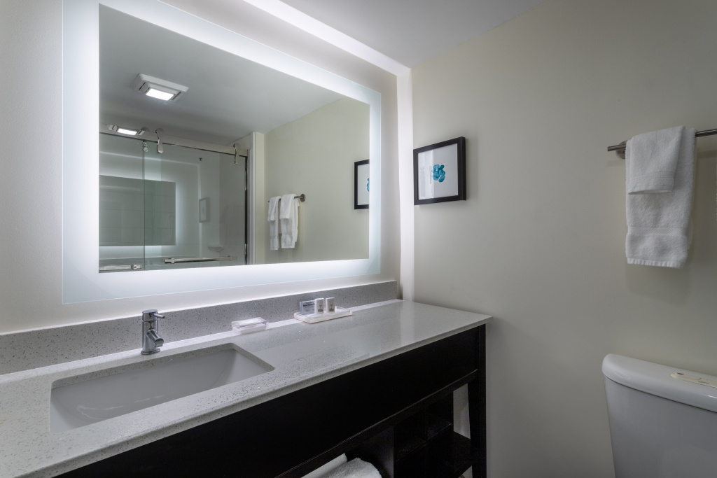 Holiday Inn Tampa North by IHG - Général