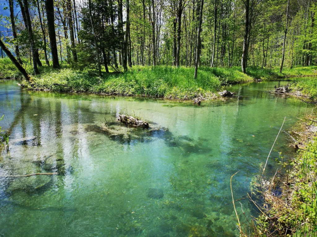 Parkhotel du Sauvage - Général