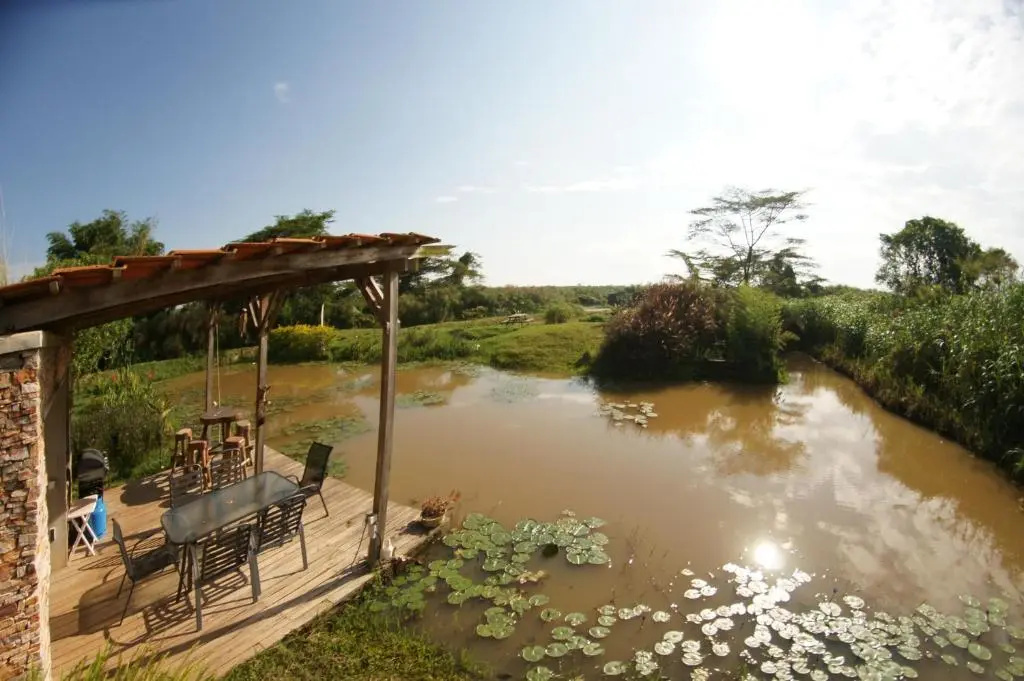 Yellow Haven Lodge - Chambres
