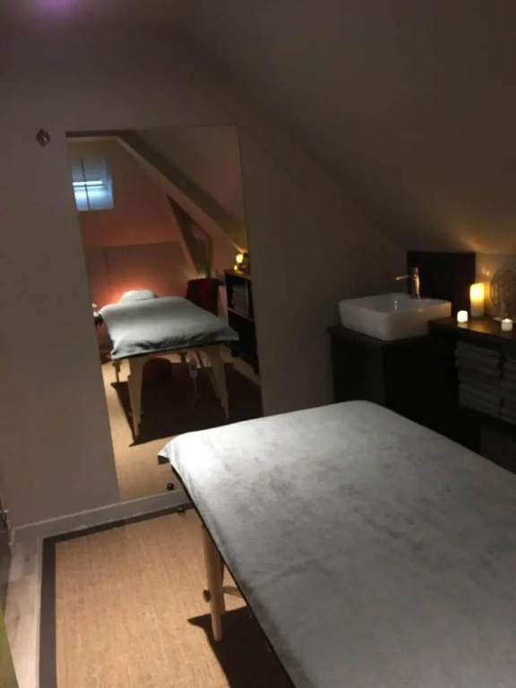 Voir la photo 4 — BRIT HOTEL PRIVILEGE LISIEUX – La Villa des Arts