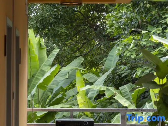 Jingmaishan Gukang Mingye Homestay (Princess Banyan Tree)