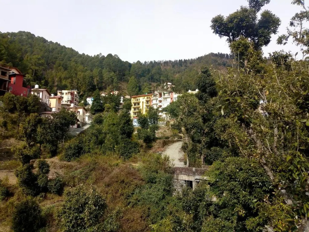 Nature View Penthouse - Bhowali