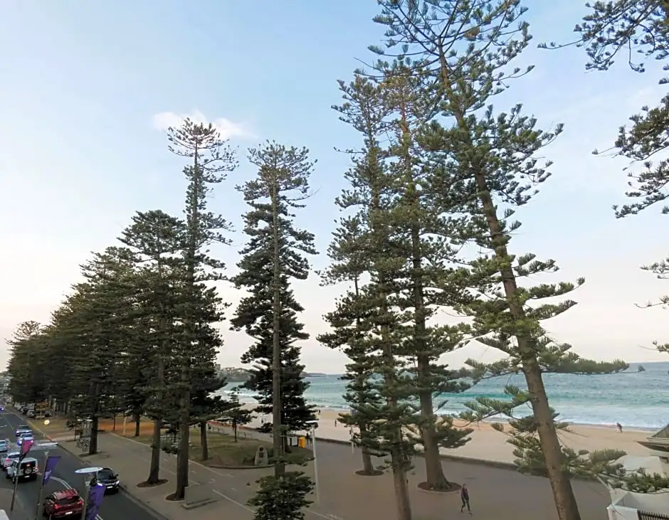 Standard Double room with sea view (full double bed)