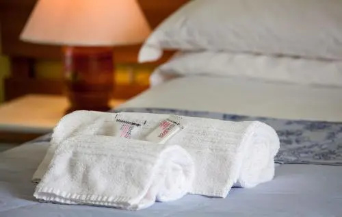 Albergo Ristorante Fontana San Rocco - Général