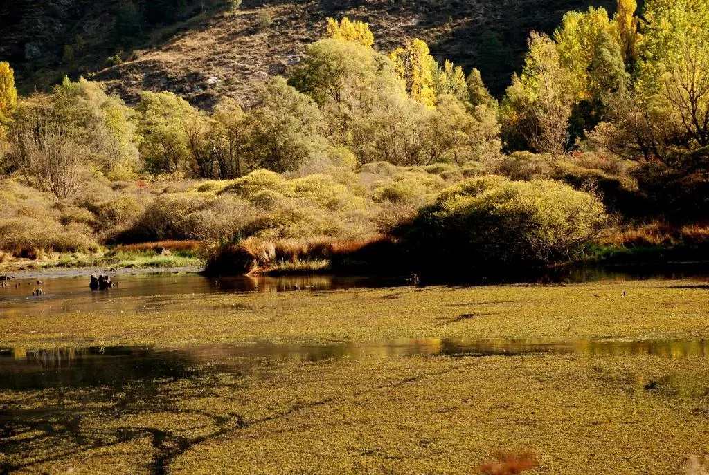 La Morera - Général