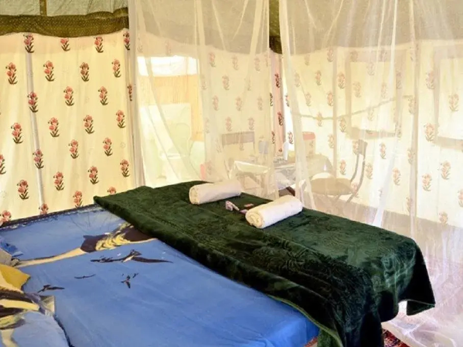 Camp Paradise - Général