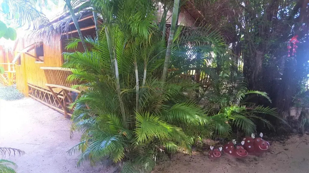 Coco Sunset Beach - Chambres