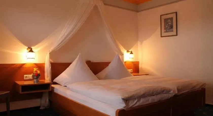 Hotel-Gasthof zum Hirschen - Général